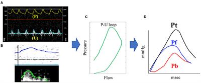 Non-invasive Assessment of Pulmonary Artery Wave Reflection in Dogs With Suspected Pulmonary Hypertension